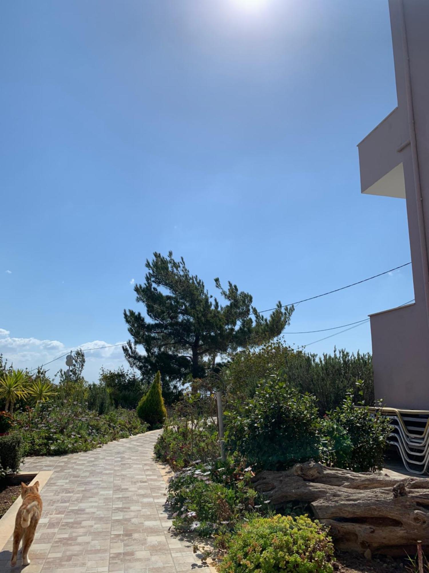 Villa Aliki Myrtos Extérieur photo