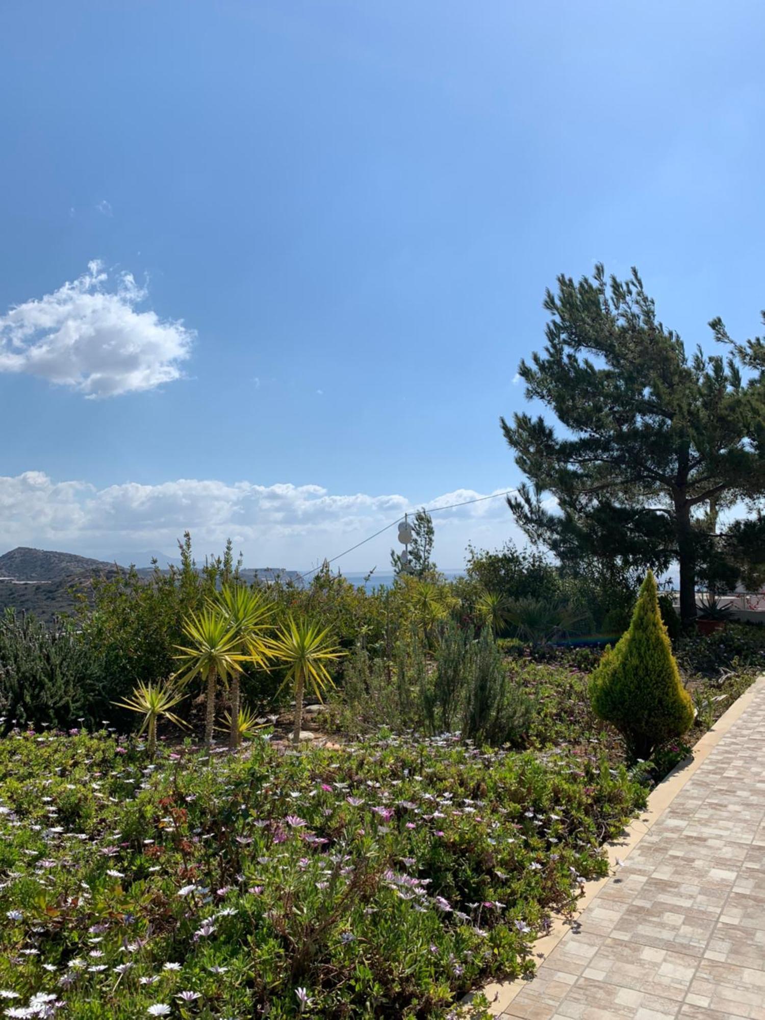 Villa Aliki Myrtos Extérieur photo