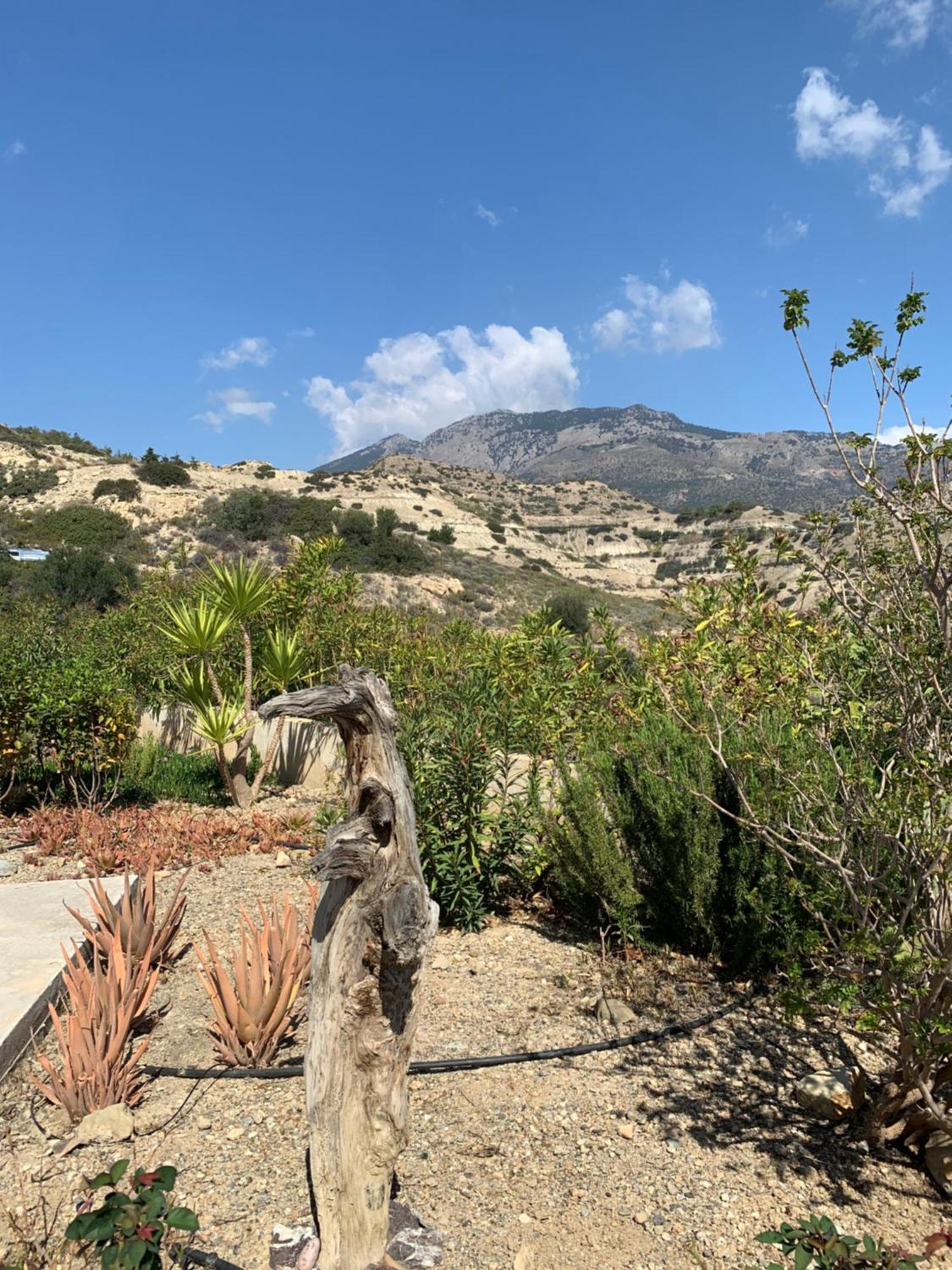 Villa Aliki Myrtos Extérieur photo