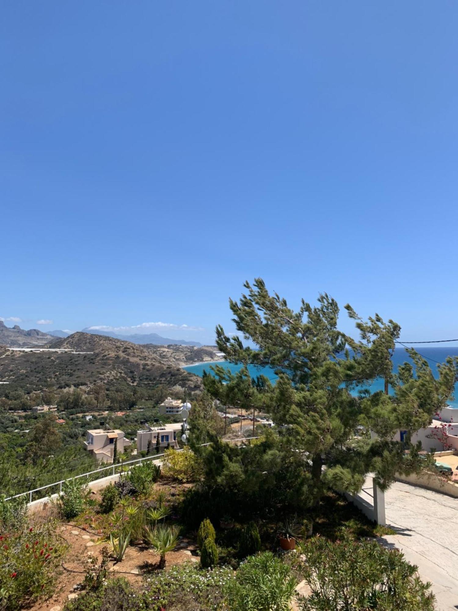 Villa Aliki Myrtos Extérieur photo