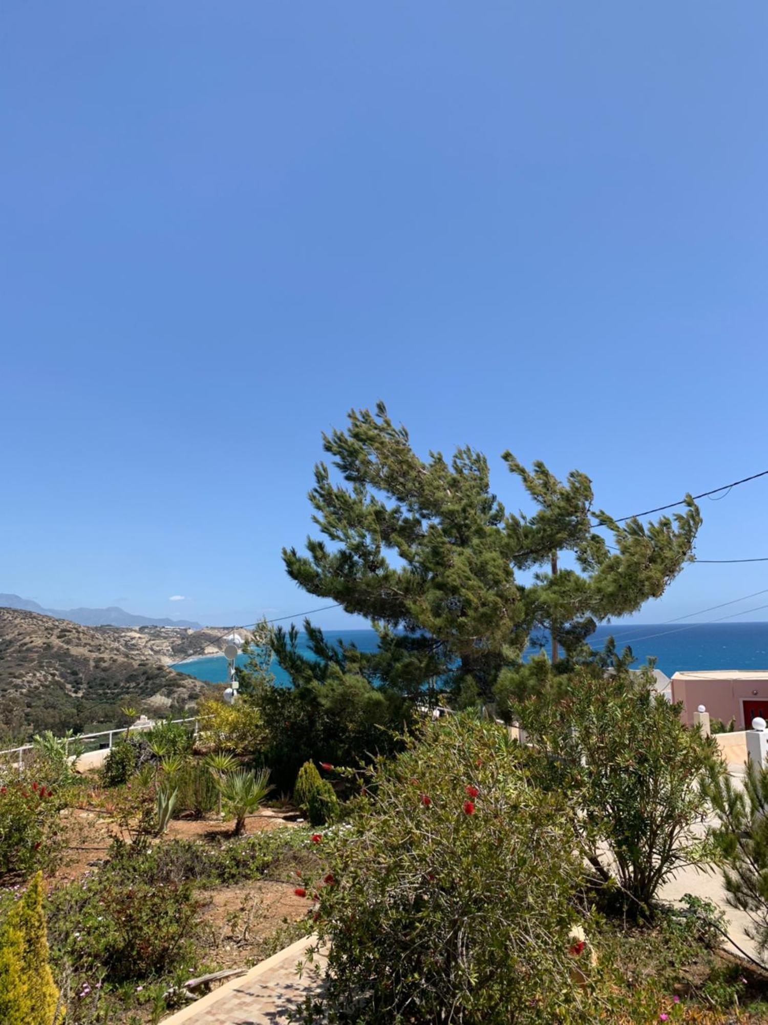 Villa Aliki Myrtos Extérieur photo