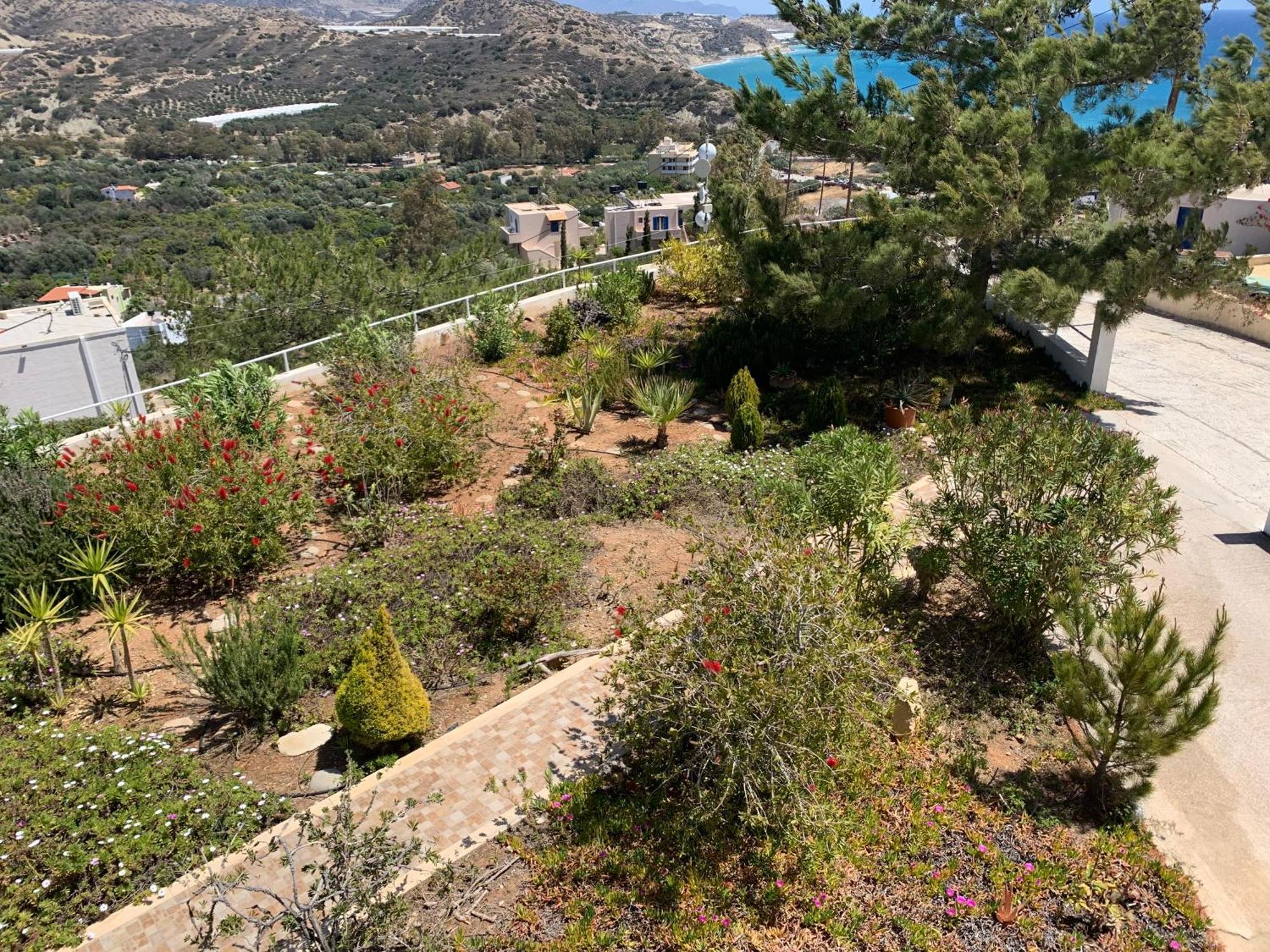 Villa Aliki Myrtos Extérieur photo