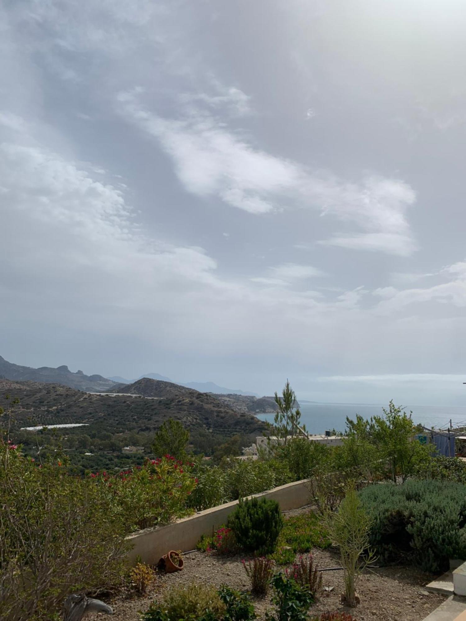 Villa Aliki Myrtos Extérieur photo